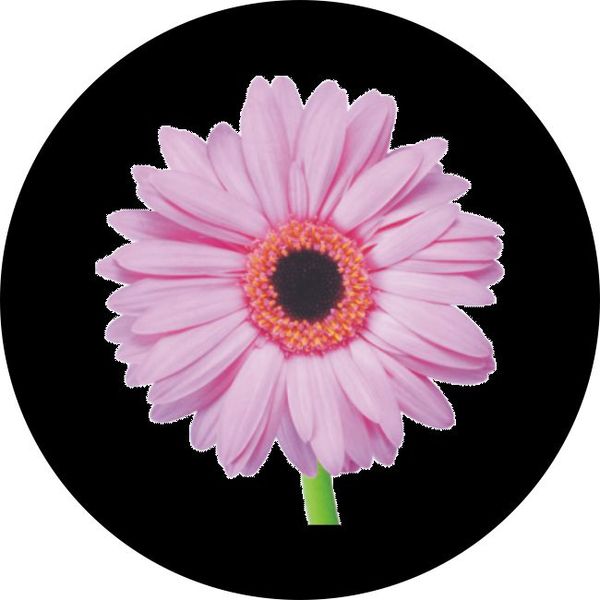 Flower gobo